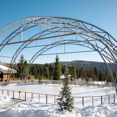 Hotel Apartel Skhidnytsya 5*