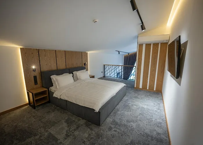 Hotel Apartel Skhidnytsya 5*